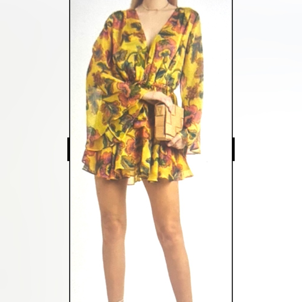Misa Los Angeles Kaia Chiffon Floral Mini Dress